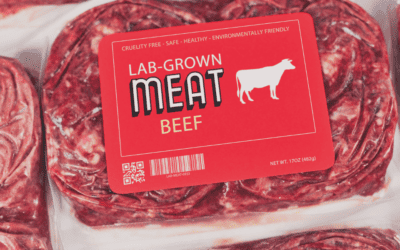 Fake Meat: Exposing the Fallacy of Food-like Products