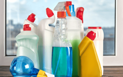 To Disinfect or Not? History, Implications, and Nontoxic Options