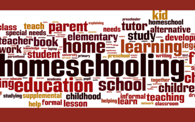 Grassroots National Homeschooling Movement: An Inside View of Strengths-Based Parent Networking