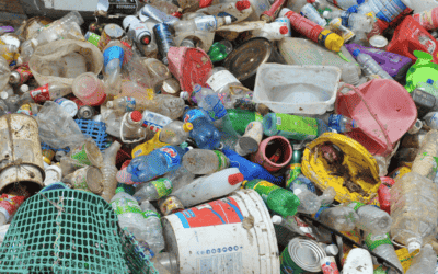 Human Consumption of Microplastics: 2023 and Beyond