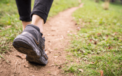 Exploring Walking as a Means to Vitality, Disease Prevention, and Self-Empowerment