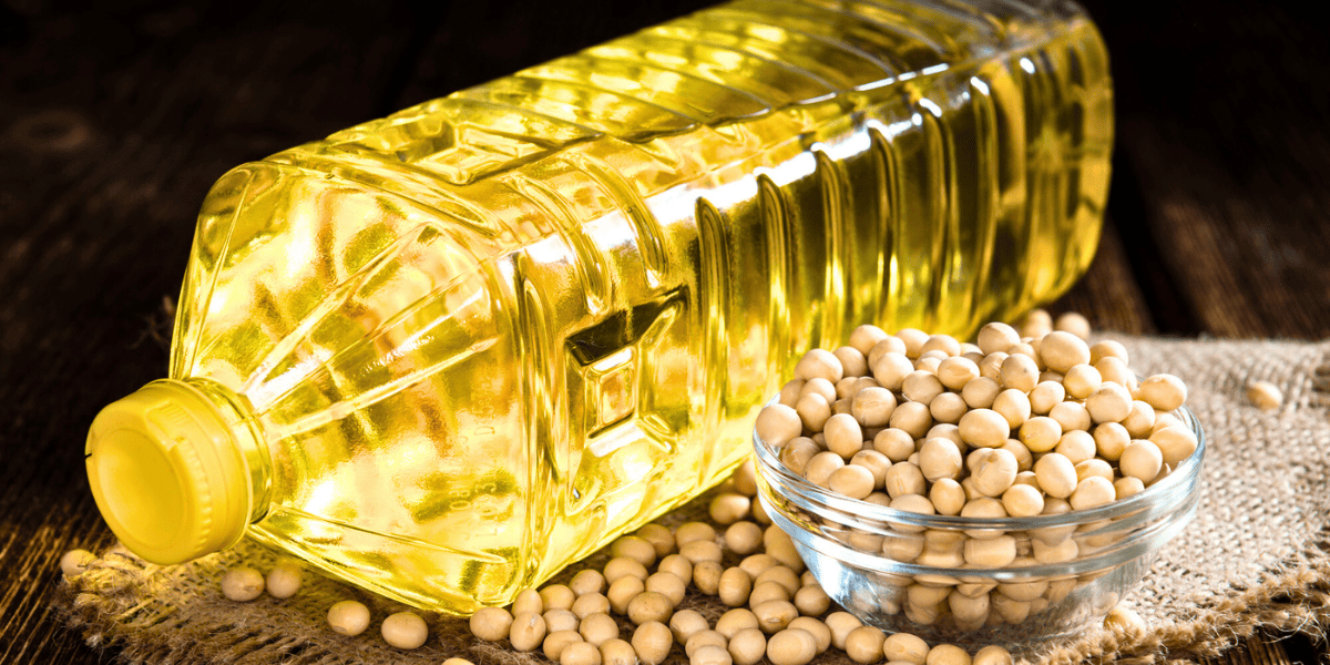 dangers of soybean oil