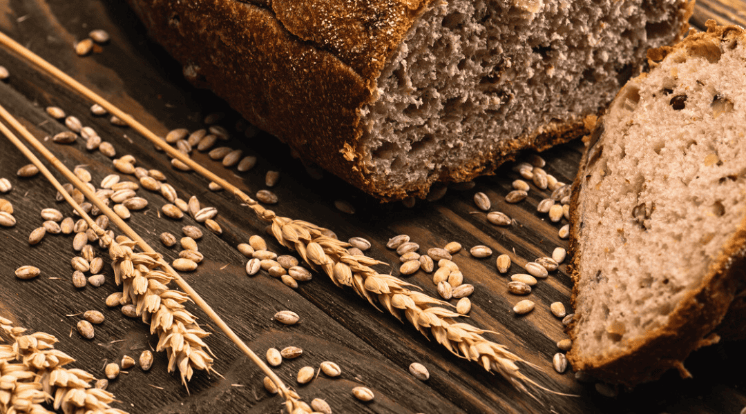 Beyond Wheat, Barley, and Rye: Factors Affecting Gluten Sensitivity in the U.S vs. Europe