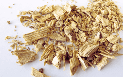 Kava Root: A Natural Remedy to Ease Anxiety and Lull You to Sleep