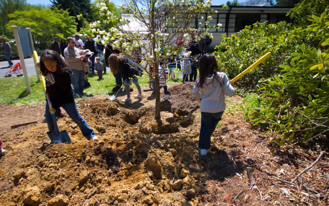 Make Every Day Arbor Day…Start Planting Trees Today!