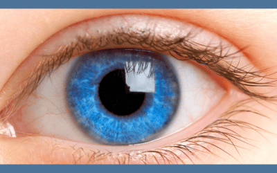 Eye Health Part One: The Nutrition You Need to Protect and Restore Your Vision