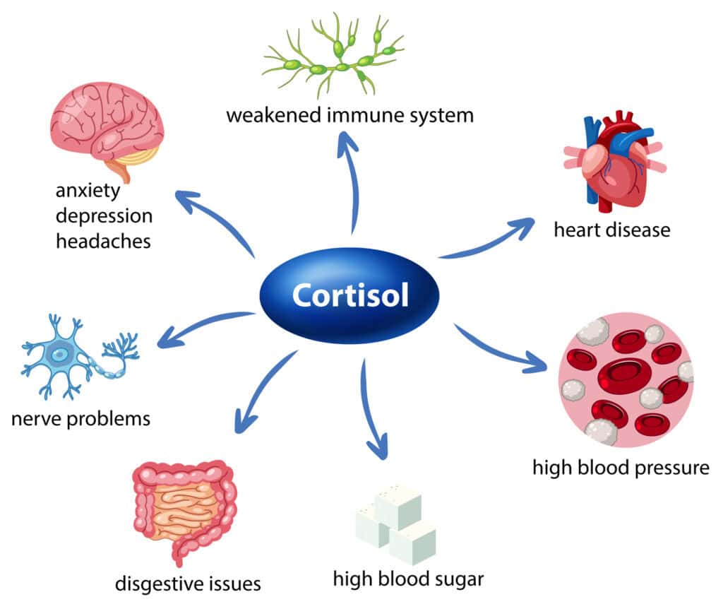 cortisol and mental health mood