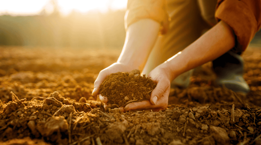 Fulvic and Humic Acids: Should You Be Supplementing With “Old Dirt?”