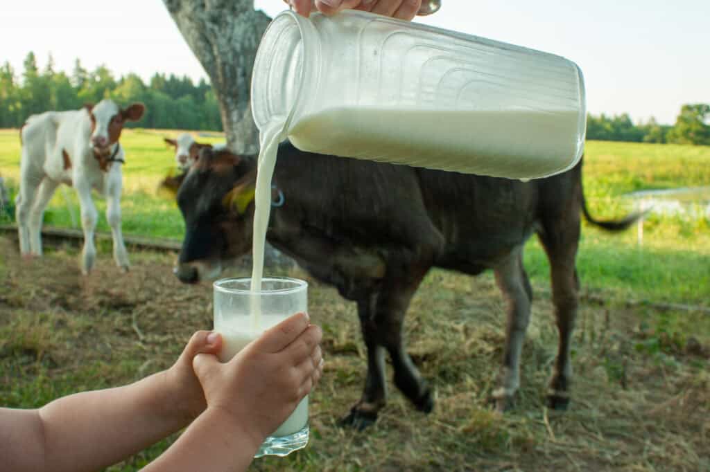 raw milk for asthma in kids