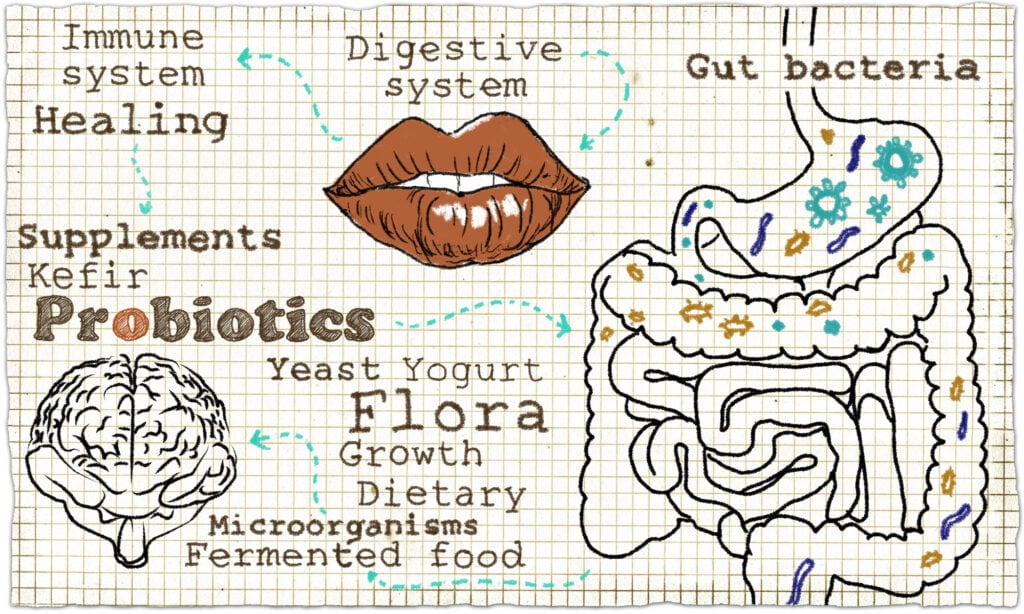 does yogurt have healthy probiotics?