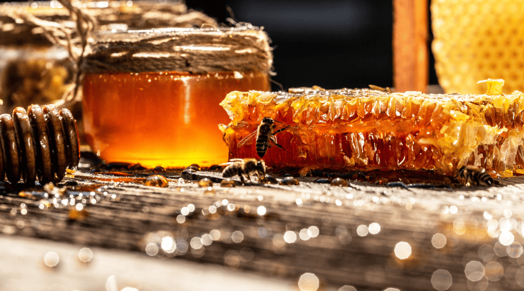 A Spoonful of Sweetness: A Beginner’s Reference to Including Honey in Your Diet