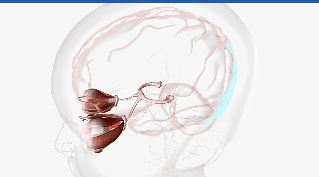 Accelerated Resolution Therapy (ART): A Compelling Approach for Anxiety Relief