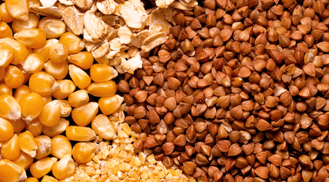 Grains May Be a Staple, but What About Those Heavy Metals?