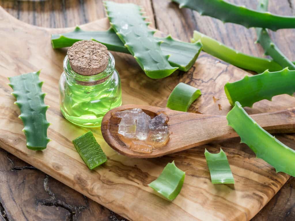 how is aloe vera used for enemas?
