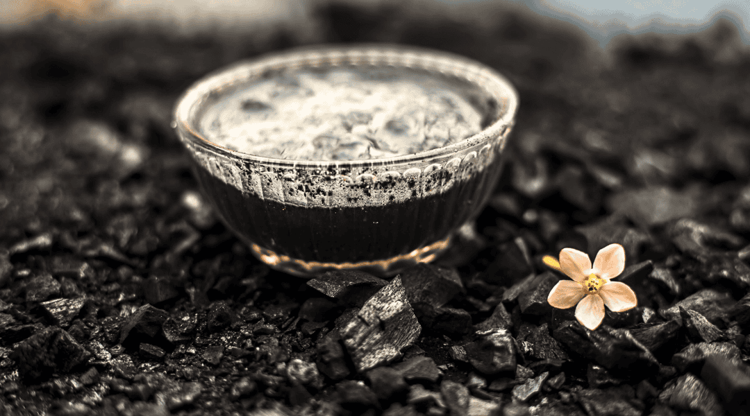 Beyond Detox: Investigating Activated Charcoal’s Role in Mood Disorders