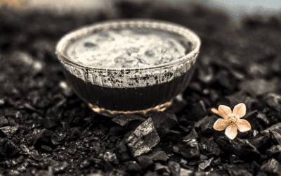 Beyond Detox: Investigating Activated Charcoal’s Role in Mood Disorders