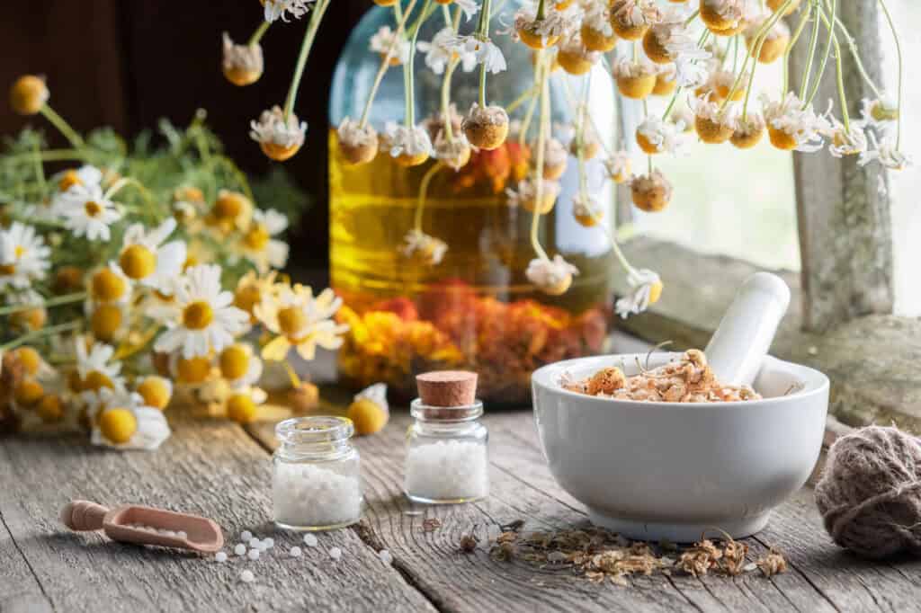 why isn't homeopathy integrated in U.S. medicine?
