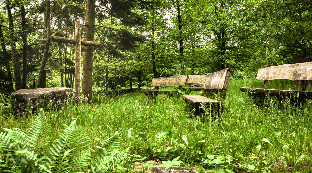 Nature’s Resting Place: Exploring the Movement Toward Natural Burials