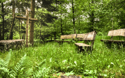 Nature’s Resting Place: Exploring the Movement Toward Natural Burials