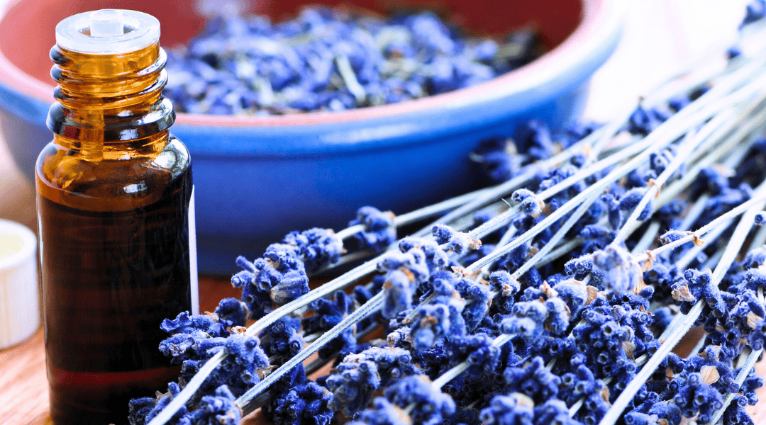 The Scent Effect: Transforming Mood and Mind Through Aromatherapy