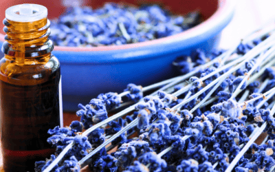 The Scent Effect: Transforming Mood and Mind Through Aromatherapy