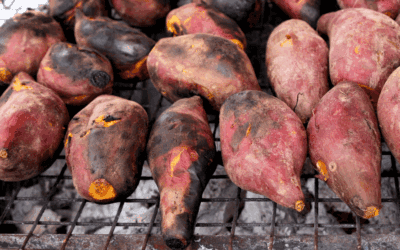 Crisp, Crunch, and Consequences: The Acrylamide You Didn’t See Coming