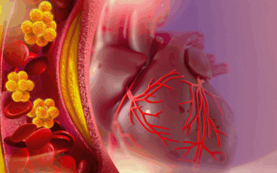 Moving the Bar: The Evolution of Cardiovascular Health Standards and the Impact of Lowered Risk Markers on Public Health