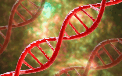 The MTHFR Gene: What This Hidden Health Factor Could Mean for You