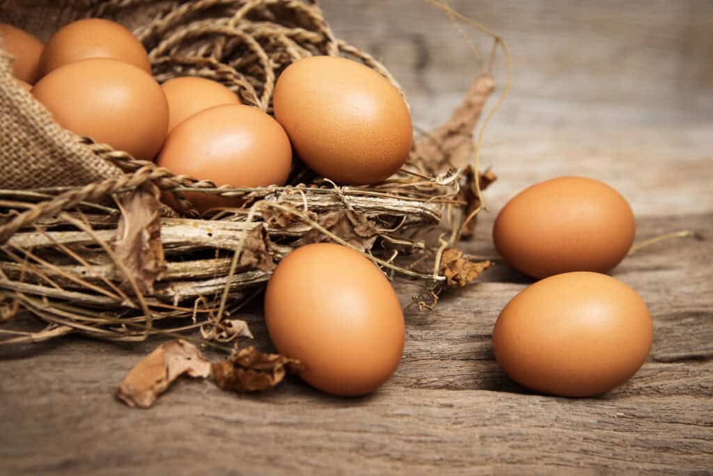 eggs and choline for pregnancy