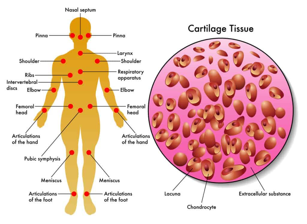 why do i need to supplement with collagen? 