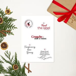 Voices for Choice Sticker Pack