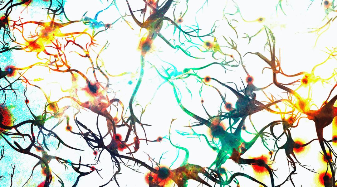 Beyond the Gym: Creatine and the Biology of Brain Energy, Resilience and Neurodevelopment