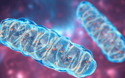 Cancer Unraveled: Transforming Terrain, Rebalancing Metabolism, and Strengthening the Mind