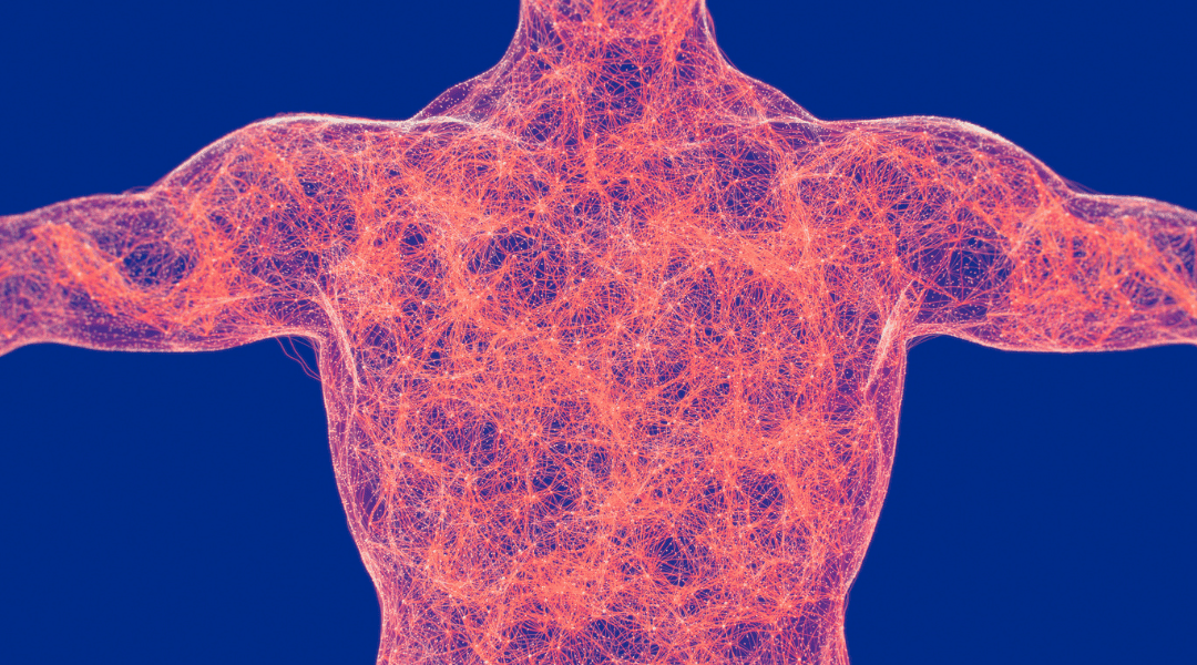 Fascia-Forward: The Living Architecture of Your Body