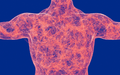 Fascia-Forward: The Living Architecture of Your Body