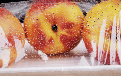 Beyond the Wrapper: Plastics, Chemicals, and the Future of Food Packaging