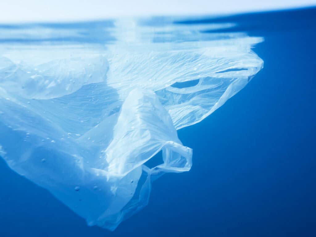 plastic food packaging in the ocean