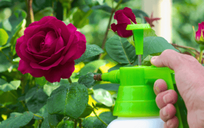 From Glyphosate to “Regrettable Substitutions”: How Roundup Changed—and What Replaced It