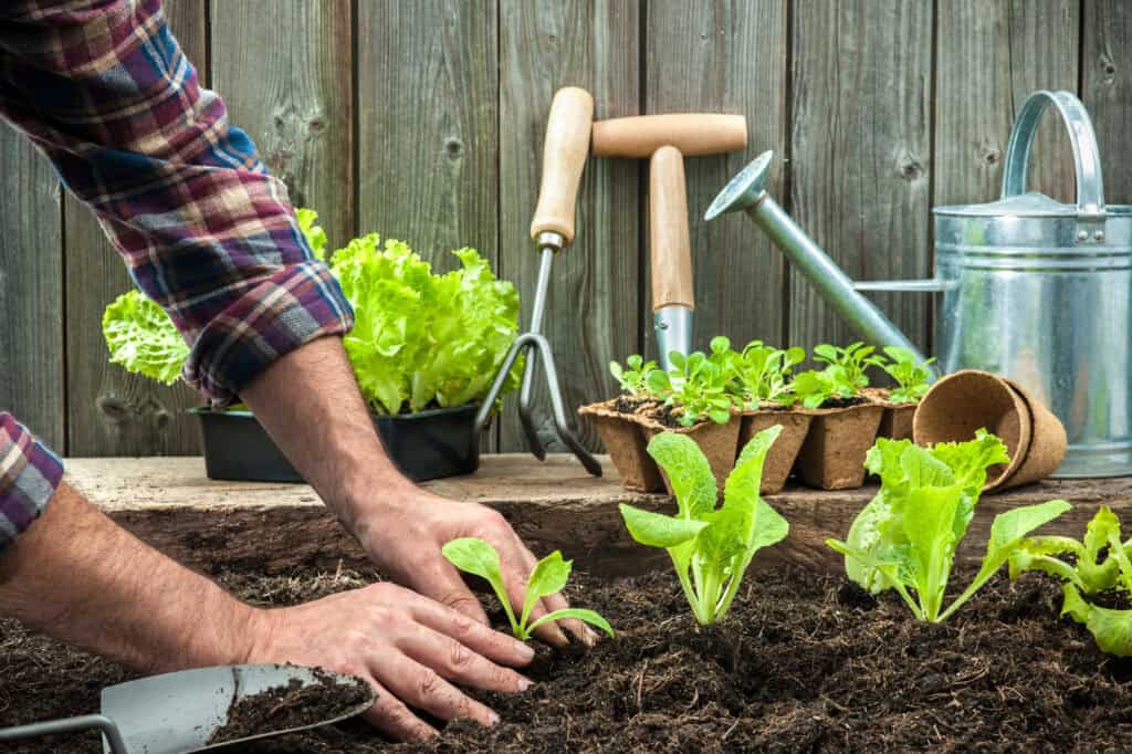 what can i use in my garden other than roundup? 