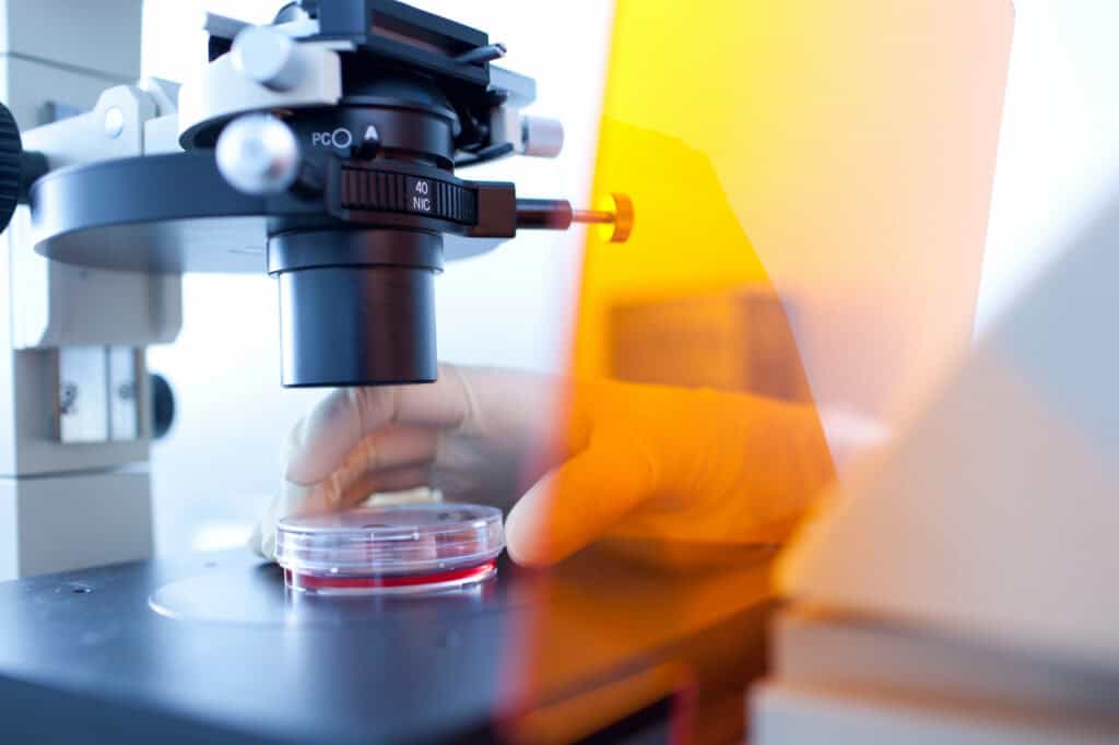 is dmso safe to take? 