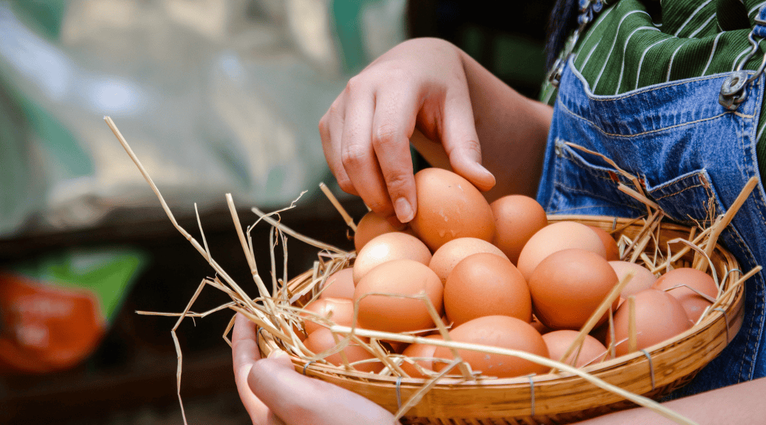The Truth Unscrambled: How Eggs Built Bodies, Shaped a Nation and Continue to Fuel Health Today