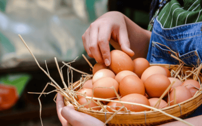 The Truth Unscrambled: How Eggs Built Bodies, Shaped a Nation and Continue to Fuel Health Today