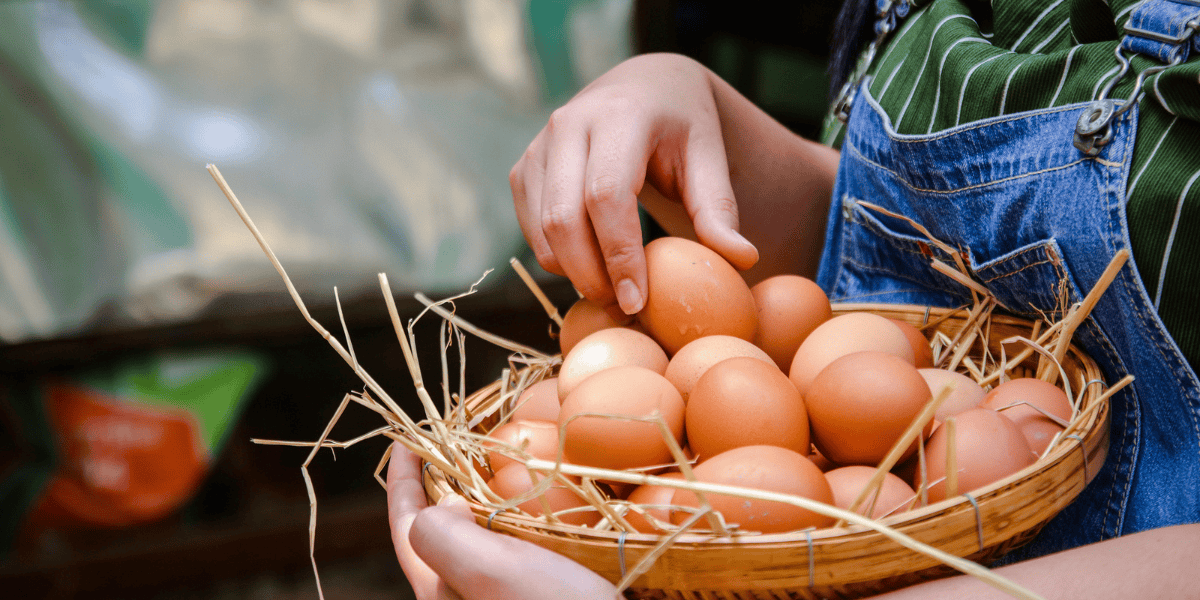 health benefits of choline in eggs
