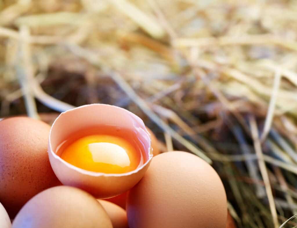 are eggs yolk healthy? 