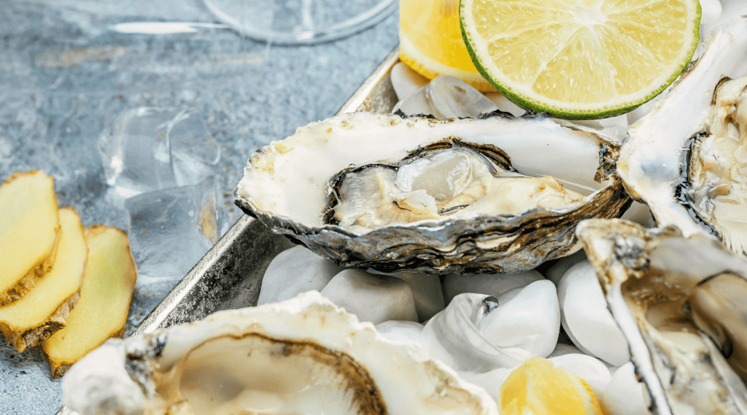 From Seabed to Brain: The Power of Oysters
