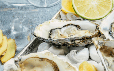 From Seabed to Brain: The Power of Oysters