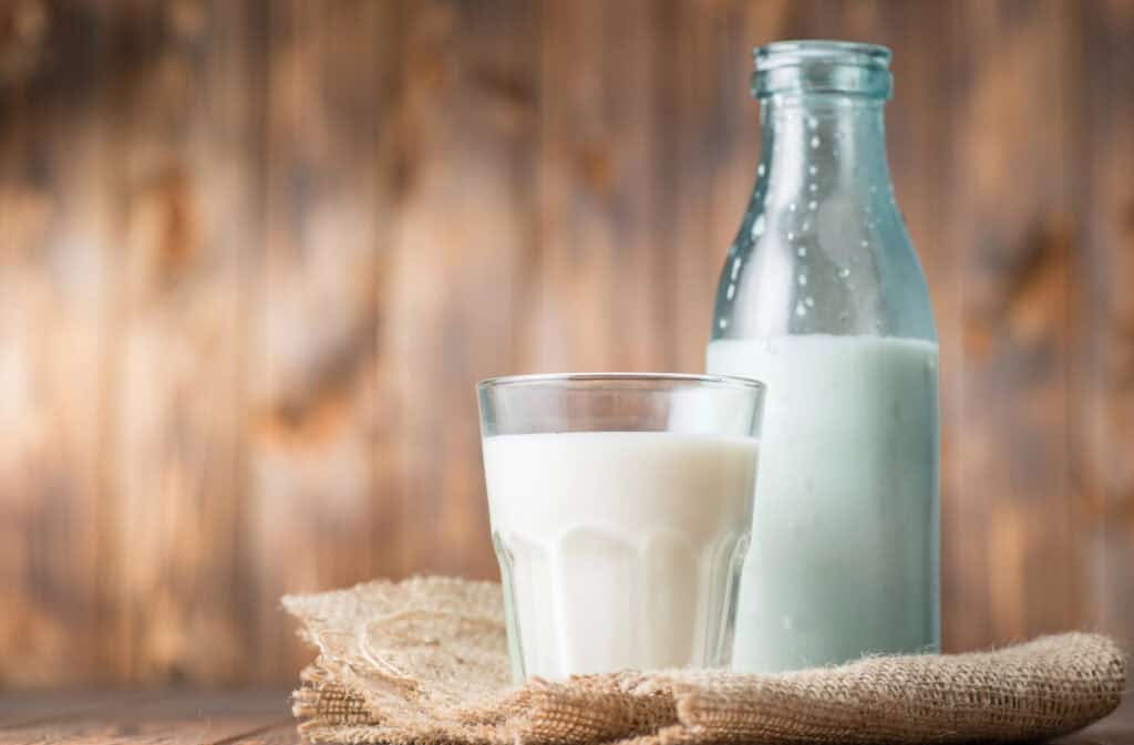 what foods are best sources of vitamin d?