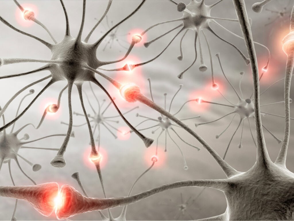 how are brains affected by cell phones?