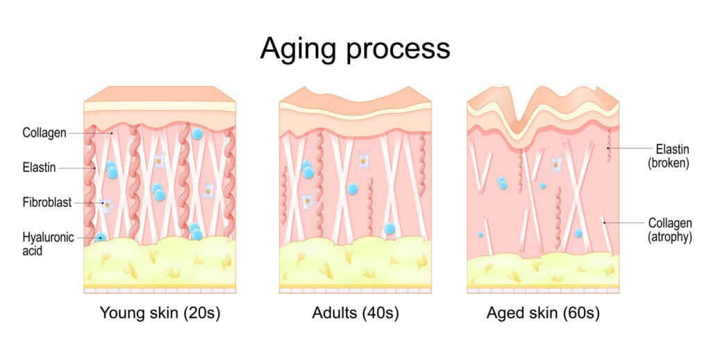collagen for aging skin